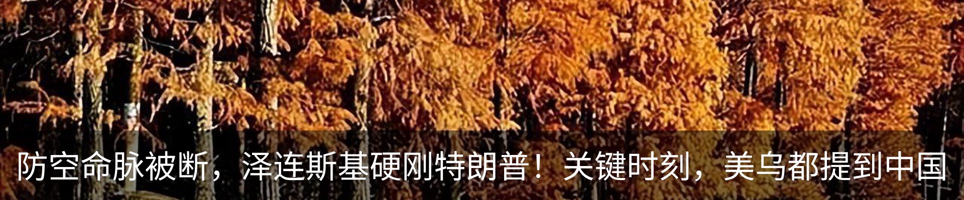 新闻中心